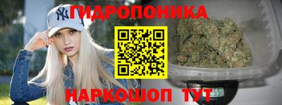 ПСИЛОЦИБИНОВЫЕ ГРИБЫ Кандалакша