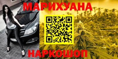apvp Камышлов