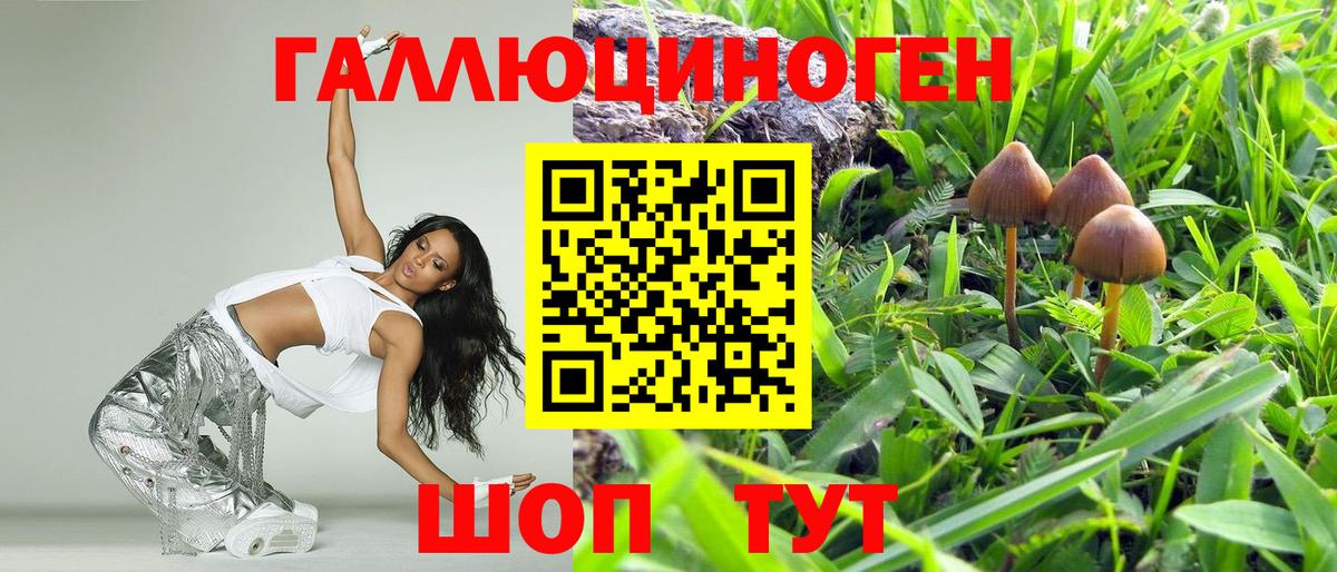 Галлюциногенные грибы ЛСД  Псилоцибиновые грибы GOLDEN TEACHER  Красногорск  Вход с VPN 